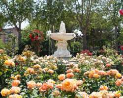 There is a beautiful rose garden called Rosaleda inside the park. There is also a Fountain of the Fallen Angel standing near the roses that makes the 
